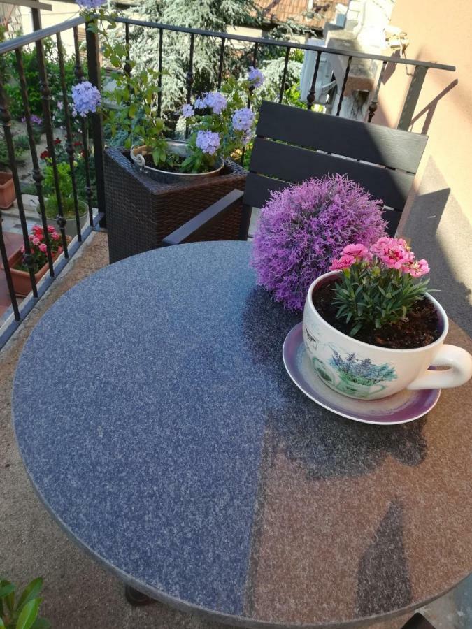 Studio Apartman Providence Šibenik Dış mekan fotoğraf